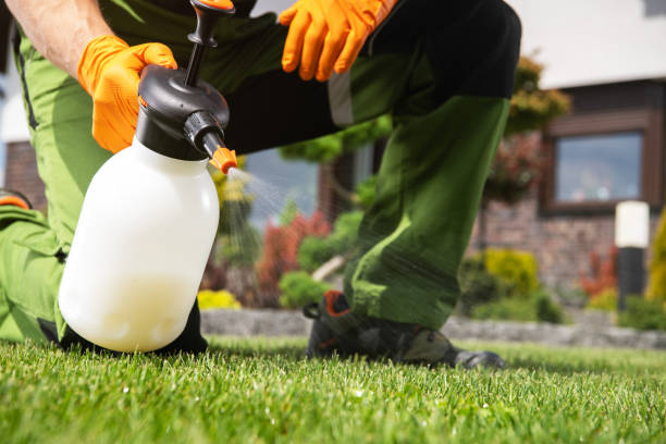 Best Mosquito Control Services  in , OK