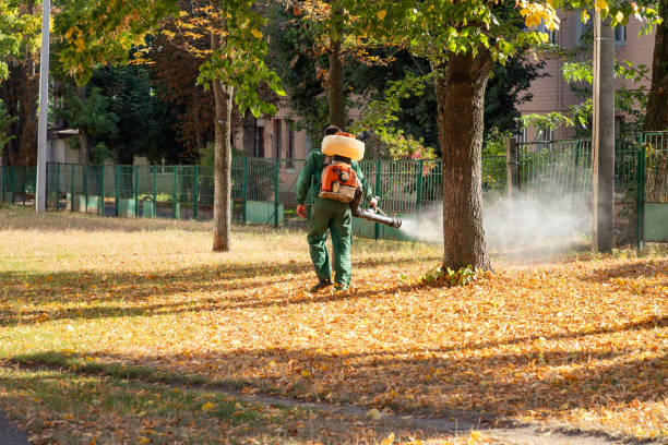 Best Pest Removal Services  in , OK